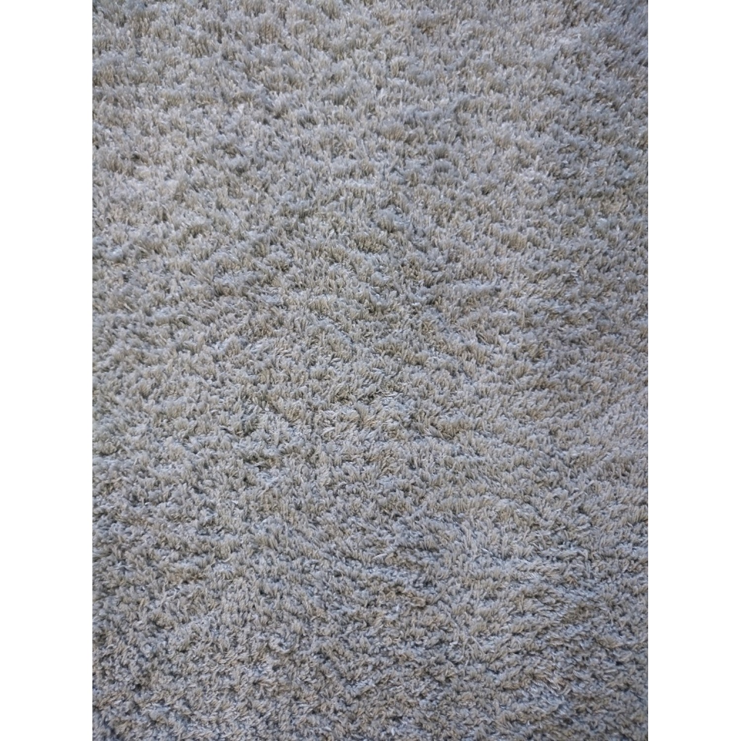 Χαλί με το μέτρο Status Light Grey 2