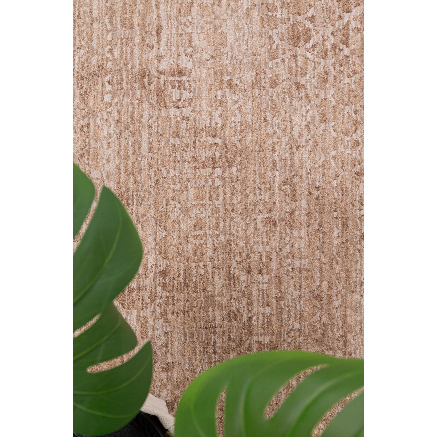 Χαλί Prime 003 BEIGE Royal Carpet - 240 x 300 cm 4