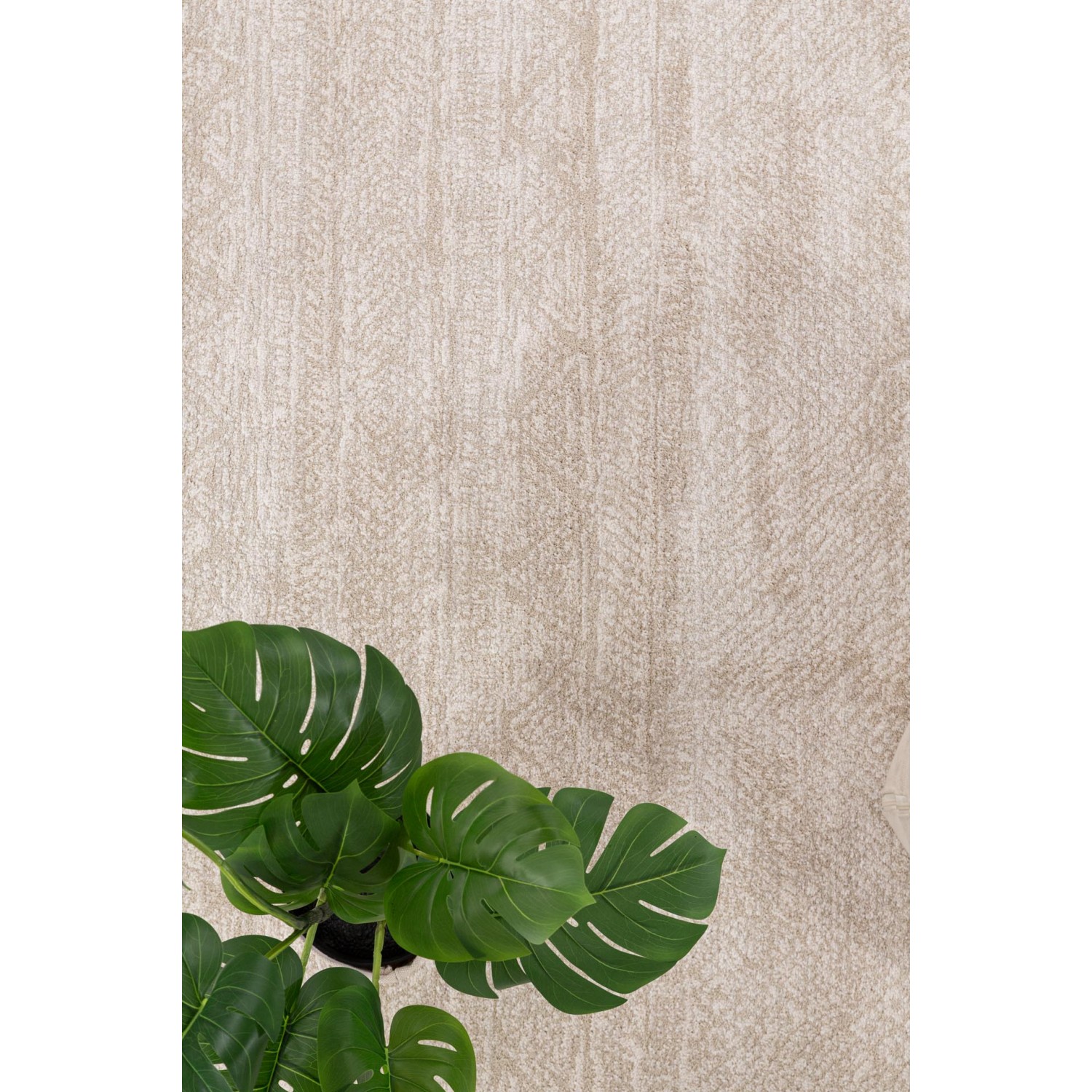 Μοντέρνο Χαλί Solid 1391 CREAM Royal Carpet - 70 x 140 cm 4