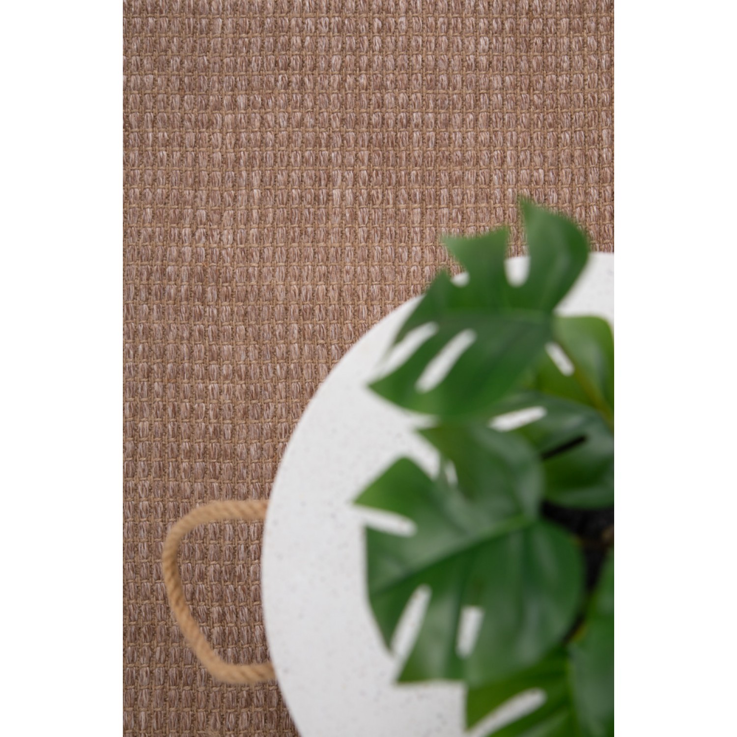 Ψάθα Elise 3652 02 BROWN Royal Carpet - 130 x 190 cm 4